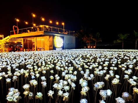 10 000 roses cebu|10,000 Roses Cafe .